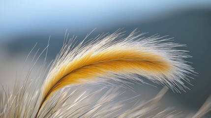 Sticker - Golden Feather Grass: A Serene Nature Close-Up