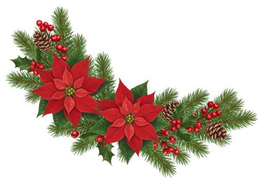 Christmas border, festive decoration, poinsettia flowers, pine branches, holly berries, pine cones, red and green colors, white background, holiday arrangement, botanical illustration style