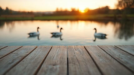 Aufkleber - Wooden pier overlooking calm pond with ducks swimming at sunset