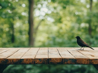 Aufkleber - Bird standing on a wooden table in a forest clearing