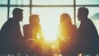 © NfL - Silhouetted businesspeople converse during a meeting, backlit by a bright sun.