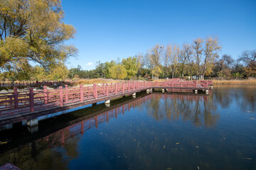 Wall Mural - Yuanmingyuan Garden in Beijing during autumn.