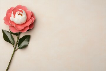 Wall Mural - Single pink flower on a soft beige background with natural lighting and shadows