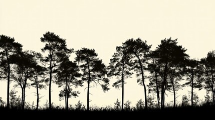 silhouette of pine trees at dawn, nature background, website banner