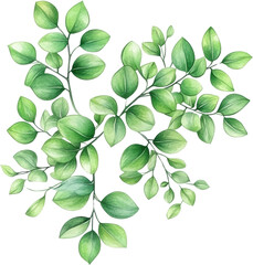 Wall Mural - Lush Green Watercolor Foliage Branch Arrangement Botanical Illustration Perfect for Design Projects