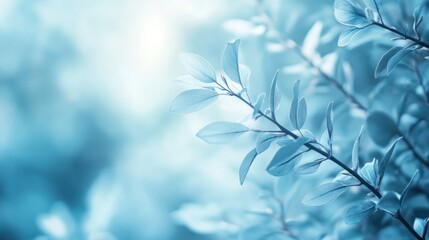 Poster - airy light blue scene featuring a faded, soft focus for calming visuals.