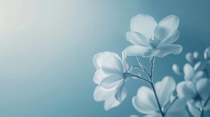 Poster - Pale blue background with soft color variations, creating a soothing and inviting atmosphere, on solid white background.