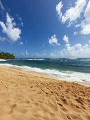 Wall Mural - Sunny Tropical Beach with Clear Blue Sky and Ocean Waves