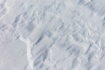 Wall Mural - The snow is white and the ground is covered in it