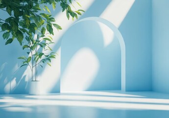 Poster - Sunlit minimalist room with arched alcove and potted plant.