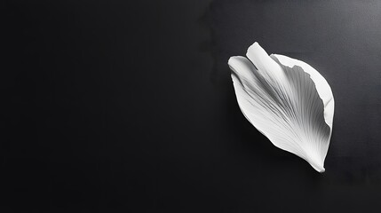 Poster - White leaf shaped art on dark background