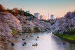 © Matteo Colombo - Chidorgafuchi moat with people on boats and cherry trees at sunset, Tokyo, Japan