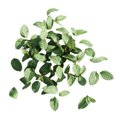 Poster - The image shows a cluster of fresh green mint leaves appearing to fall against a black background.