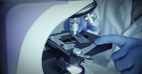 Wall Mural - microscope is meticulously focused on sample within wellequipped research laboratory environment