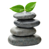 Stack of smooth spa stones with green leaves, isolated on transparent cutout background