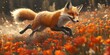 © amanah - Red fox running through poppy field.