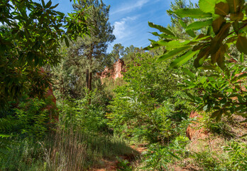 Wall Mural - Ochre path near Roussillon