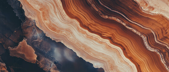 Poster - Detailed wood grain texture showcasing intricate patterns and rich shades of brown