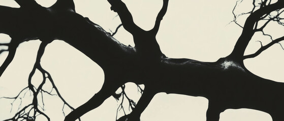 Poster - Veined black ink patterns resembling natural branching lines on a white background