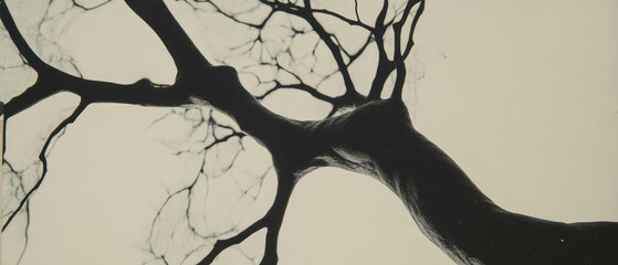 Poster - Exploring the intricate textures of veined ink patterns on a light background