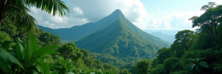 Wall Mural - Dense foliage surrounds a lone mountain peak in Central Borneo Tropical Forest, fauna, central borneo, mountain peak