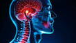 © john - Head neck oncology crosssectional tumor imaging showing how tumors in the head and neck are diagnosed with imaging techniques under Oncology