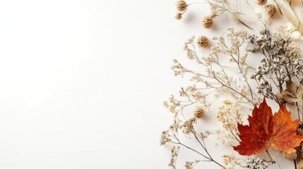 Aufkleber - Seasonal autumn design with minimalist organic lines, warm hues, and floral textures blending into a clean white backdrop