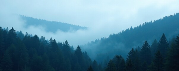 Wall Mural - Dense pine forest foggy atmosphere misty landscape, atmosphere, pine forest, blue