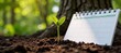 © Pixel Matrix - Young plant grows amidst calendar depicting sustainable development through natural progression