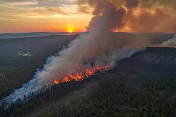 Wall Mural - A large plume of smoke rises from a forest, suggesting a wildfire or intense vegetation burning