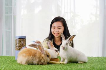 Wall Mural - group of bunny lying on grasses,a girl take care of the rabbits