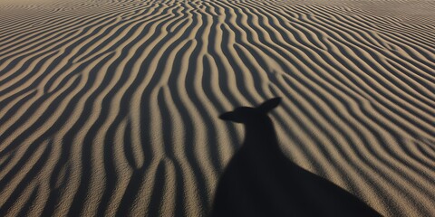 Canvas Print - Desert sand dune patterns with animal shadow.