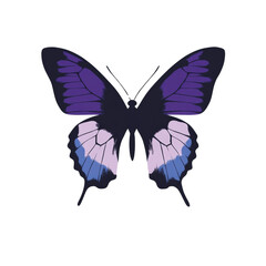 Aufkleber - A stylized image showcases a purple and blue butterfly with detailed wing patterns against a black background.