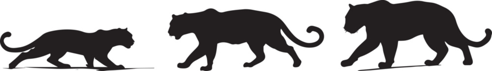 silhouette of a jaguar stalking vector illustration