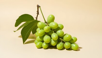 Wall Mural - Fresh green grapes on a branch with leaves against a beige background studio shot