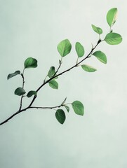 Wall Mural - Green leafy branch against blue sky