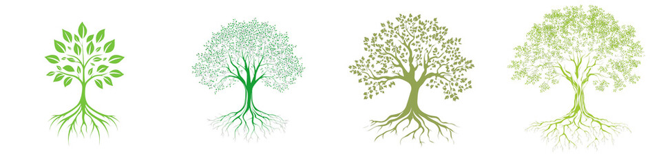 set of a logo of tree with roots isolated on a transparent background