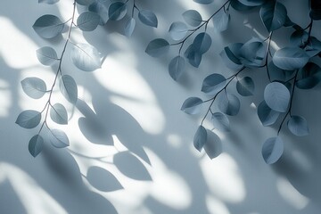 Poster - A white wall adorned with abstract shadows of leaves, overlay effect for photo, mock-up, product, wall art, design presentation