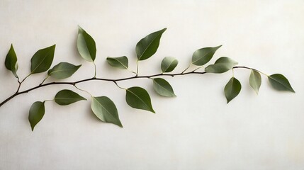 Poster - A tranquil arrangement of green leaves on a branch against a soft, neutral background.