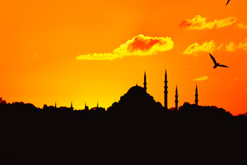 Wall Mural - silhouette of suleymaniye mosque at sunset with seagull and clouds