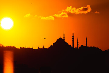 Wall Mural - suleymaniye mosque at sunset with sun and seagull