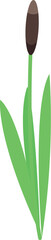 Poster - Minimalist illustration of a reed mace, showcasing its distinct brown flower and vibrant green leaves