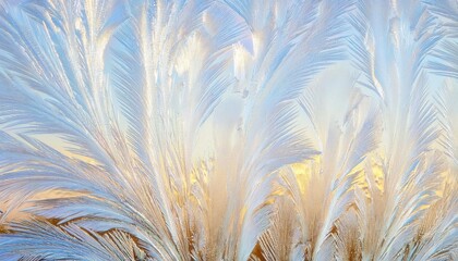 Poster - frosted windowpane pattern with radiant sunrise glow, natural icy feather motif, delicate texture, winter abstract background