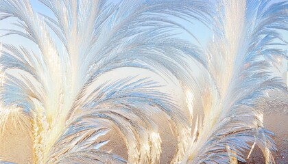 Poster - frosted windowpane pattern with radiant sunrise glow, natural icy feather motif, delicate texture, winter abstract background