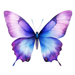 Poster - The image showcases a detailed watercolor painting of a butterfly with vibrant purple and blue hues.