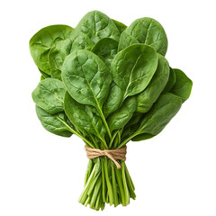 Wall Mural - Fresh Green Spinach Bundle Healthy Vegetable Organic Produce Farm to Table Food Culinary Ingredient