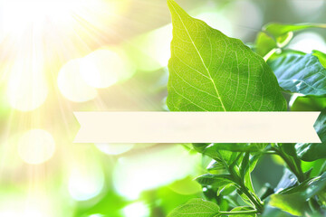 Poster - Vibrant green leaves dominate the foreground, partially obscuring a customizable off-white banner, all set against a backdrop of sunlit bokeh, creating a refreshing and natural aesthetic