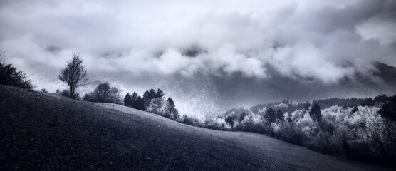 Wall Mural - Black and white autumn landscape.