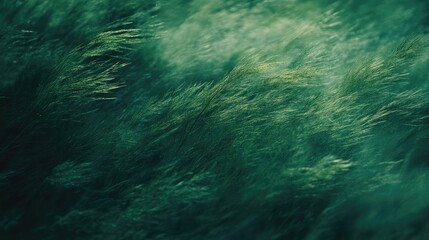 Poster - Abstract green grass texture with blurred motion effect and copy space for text placement.