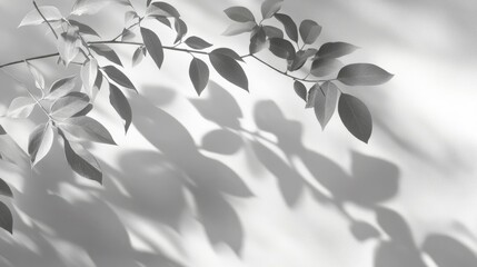 Poster - Minimalist composition of green leaves casting soft shadows on a light background with ample copy space for text placement